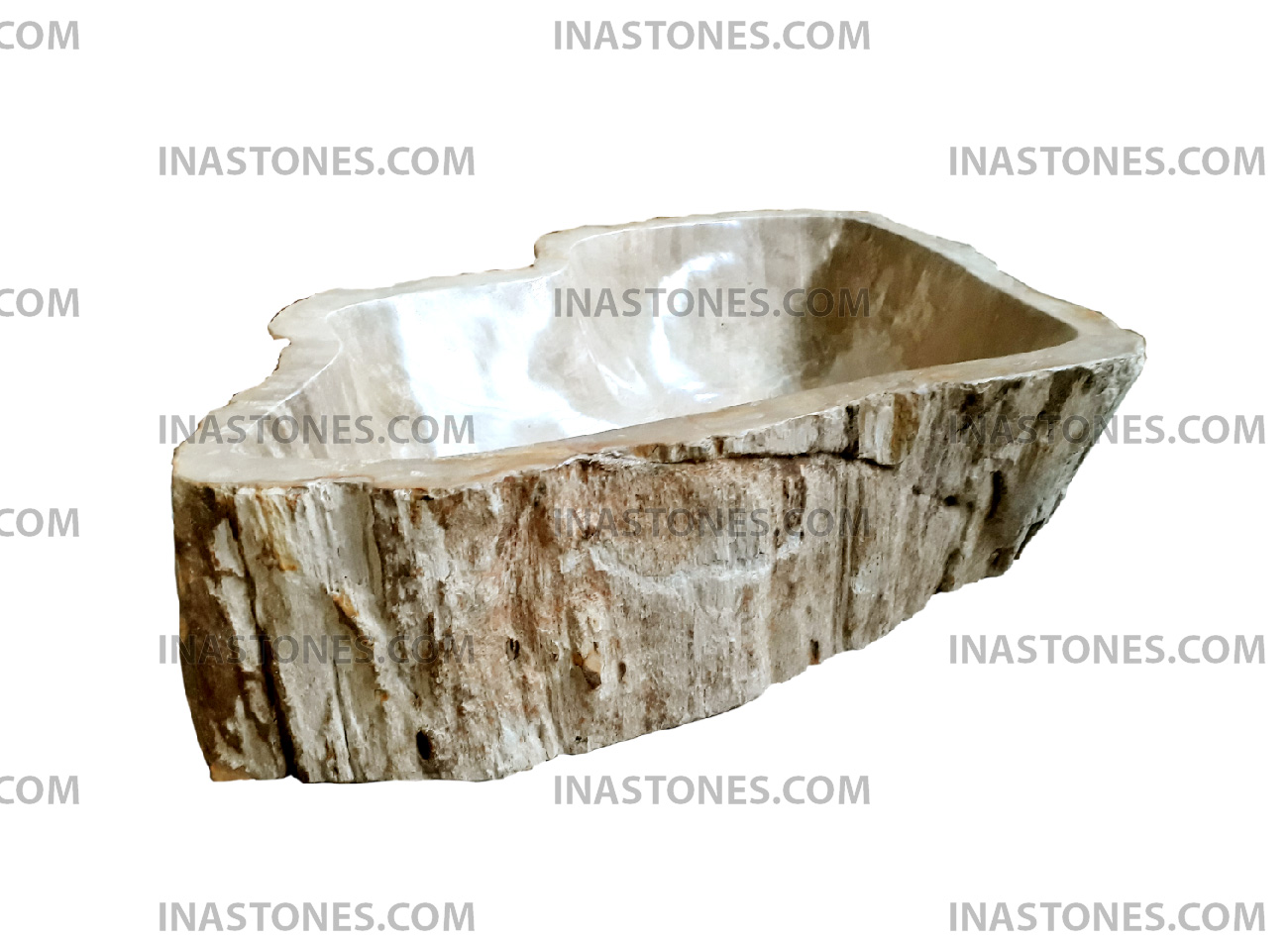 Cream Petrified Wood